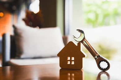 Property Maintenance